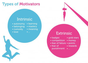 intrinsieke motivatie